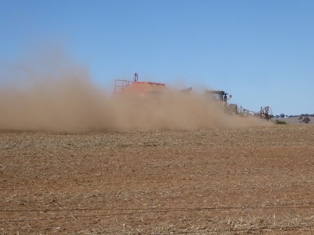 Along with wheat, they have dust in common with their Kansas cousins.