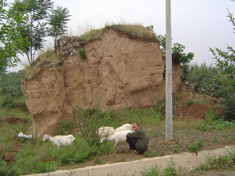 You have to hunt for a rock in the deep beds of windblown silt, or loess.