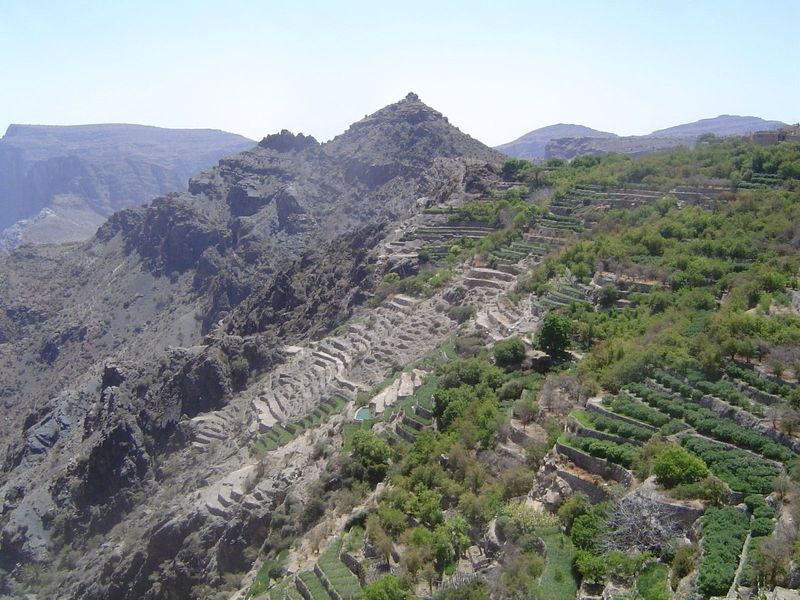Centered on the abandoned terraces.