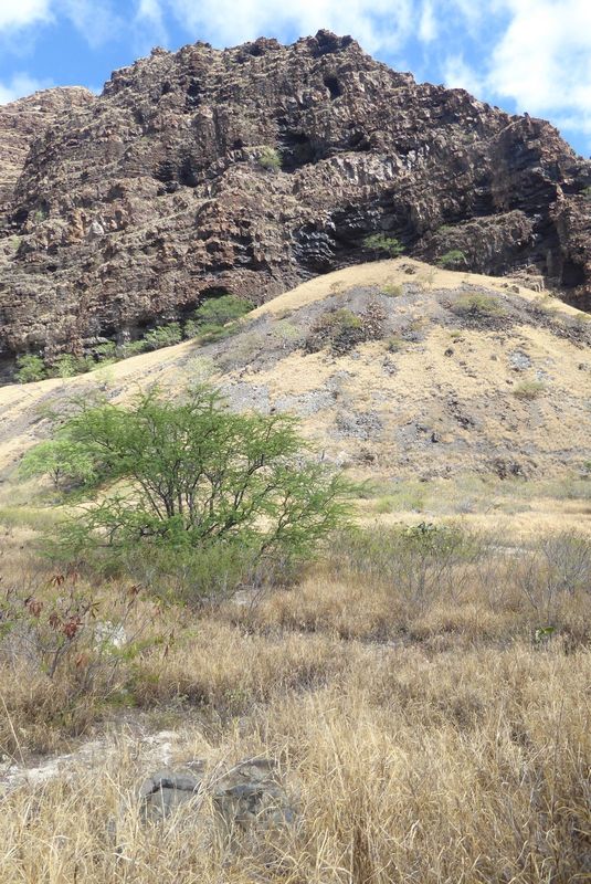 The Wai'anae Range is the southern edge of the former Wai'anae volcano, created about four million years ago but mostly lost to the sea in a