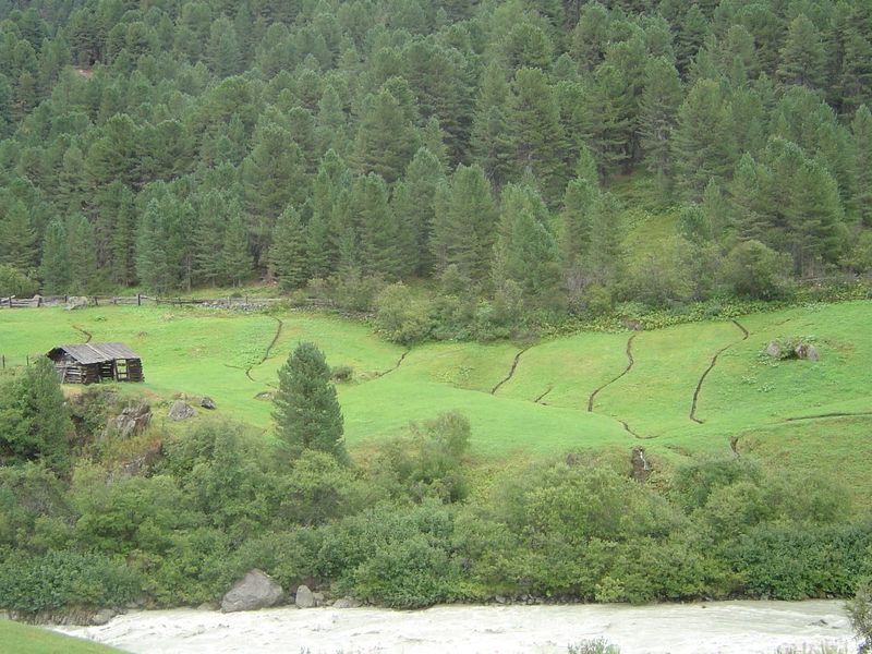 Farms like these aren't conducive to machinery.
