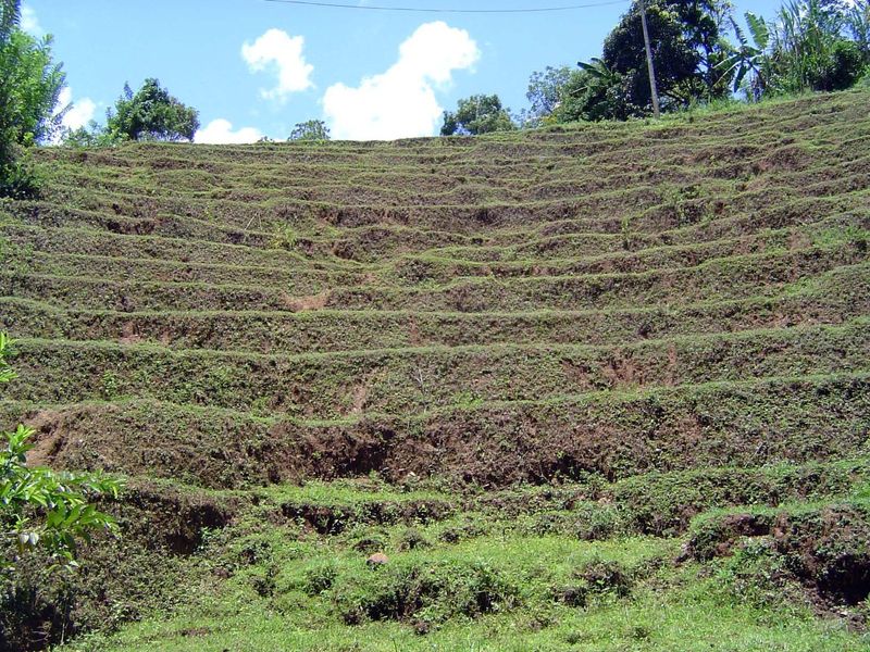 A nearby set of terraces has yet to be cleaned up.