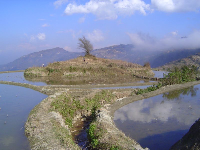 A dike serves as a bridge to the island.