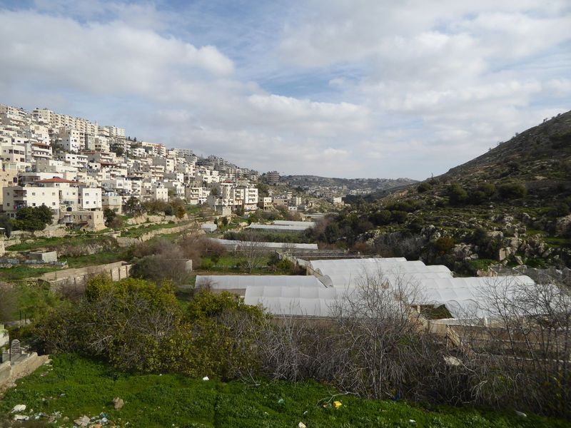 Downstream a few hundred yards is the rapidly growing town of Artas, hardly separable from Bethlehem now.