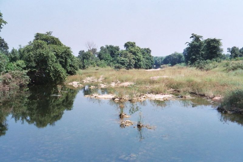 A quiet pool has backed up behind a drop in the distance.