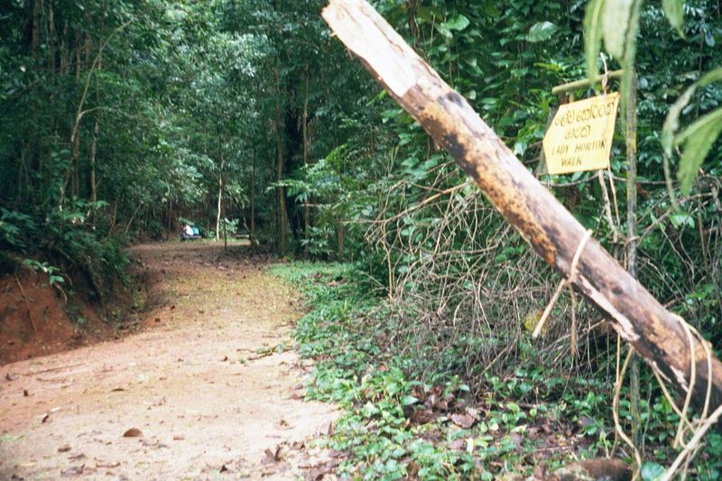 The sign points the way to Lady Horton's drive, one of several walks that still carry the names of governor's wives.