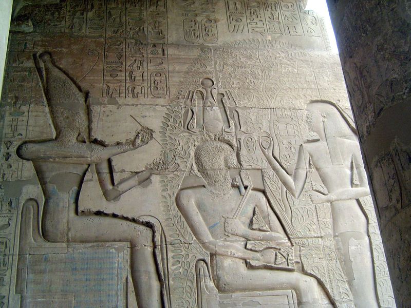 He sits before a Persea tree, while Amun-Ra writes the king's name on its leaves. The tree Mimusops schimperi was associated with the rising