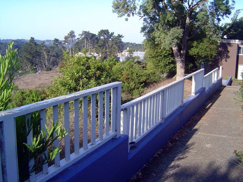 The boy was fortunate to live on the edge of Parkmerced, where beyond this now-frail railing a long slope was densely covered with acacia sh