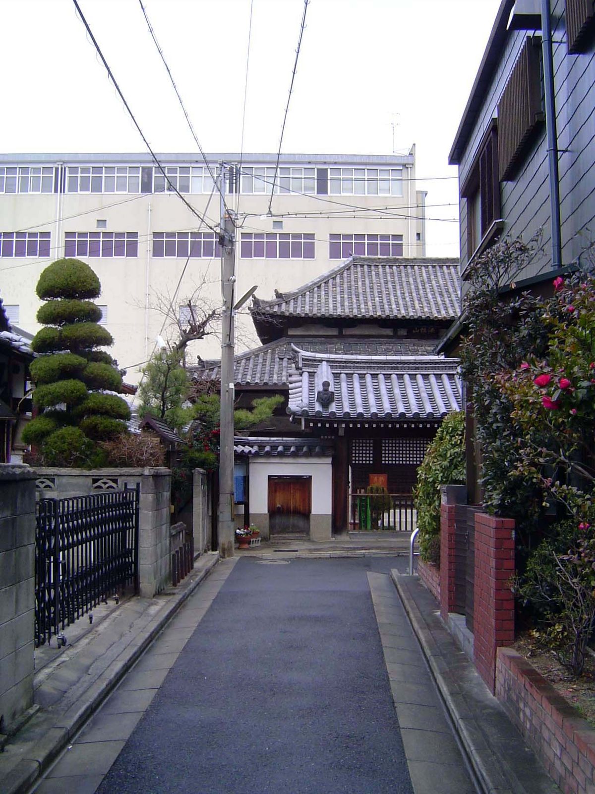 Temples, in this case the Jotoku-Ji Temple, are scattered across the street net. Taller buildings, like the one in the background, stay on t