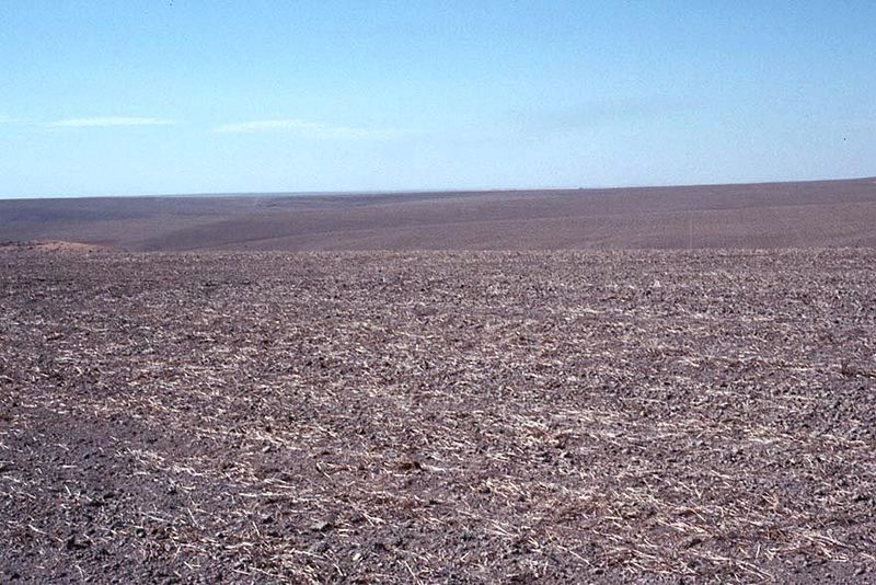 This land could be irrigated; in the 1950s there were plans to irrigate it. Spoil-sport economists put an end to those plans, however, and t