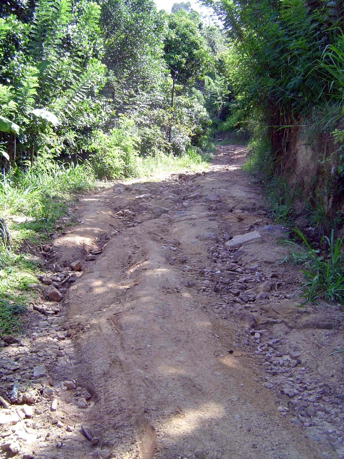 A dead-end road branches off near Karandagolla.