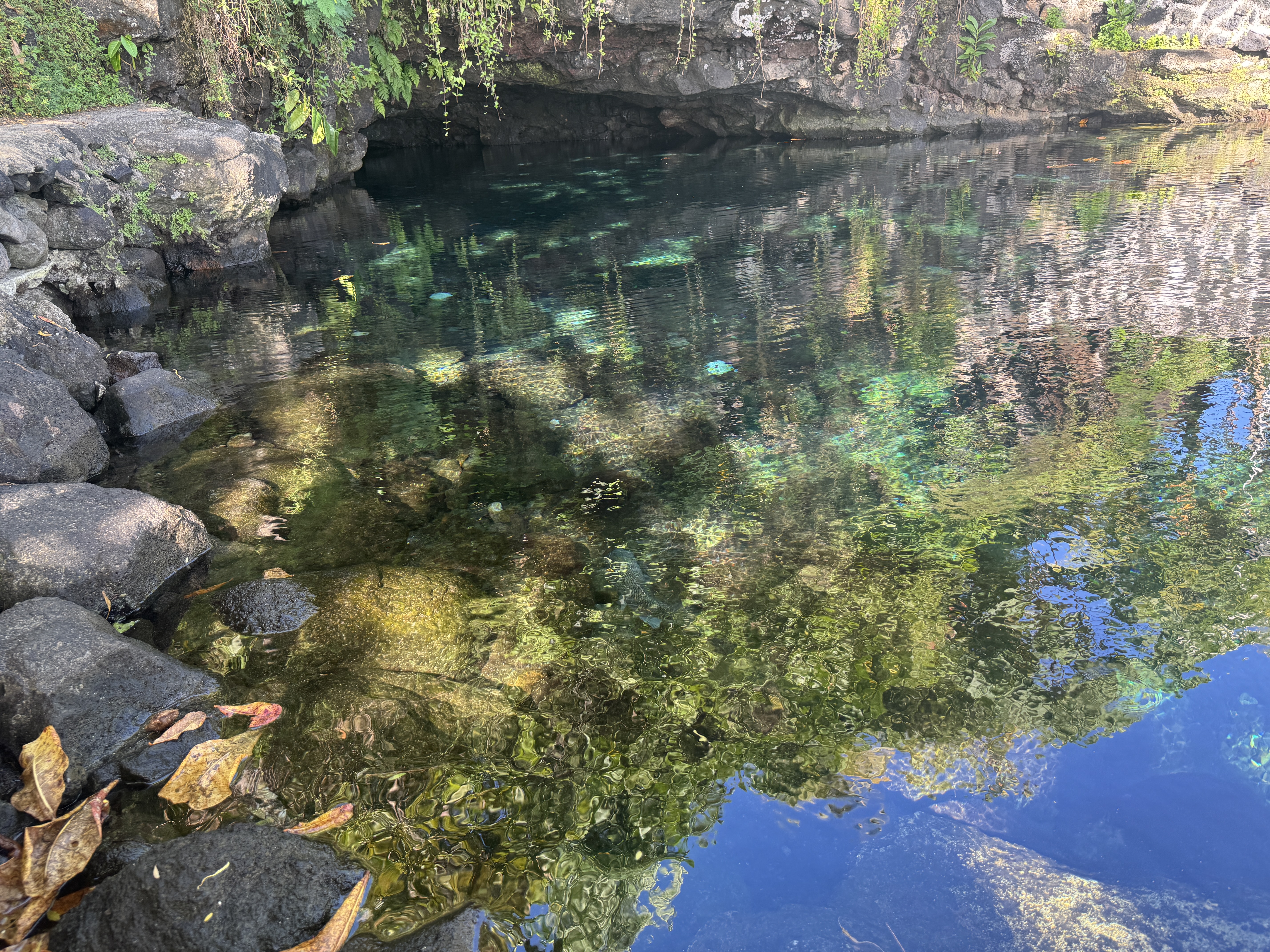 The pools remain among the most beautiful structures on the island.  This one is just below the Piula Church, which we saw earlier.