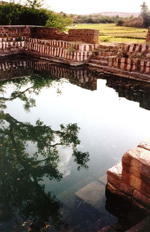 Water changes everything. Here, not more than five miles from the last picture, is a spring-fed pool whose outflow irrigates the paddy in th