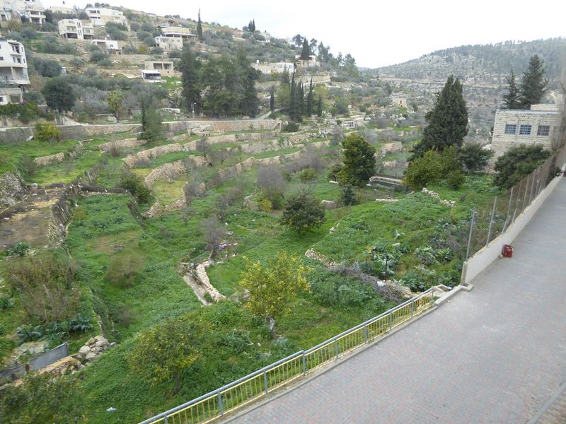 The town is built around a narrow valley terraced in Roman times and irrigated by a spring that flows even now, though almost nobody cultiva