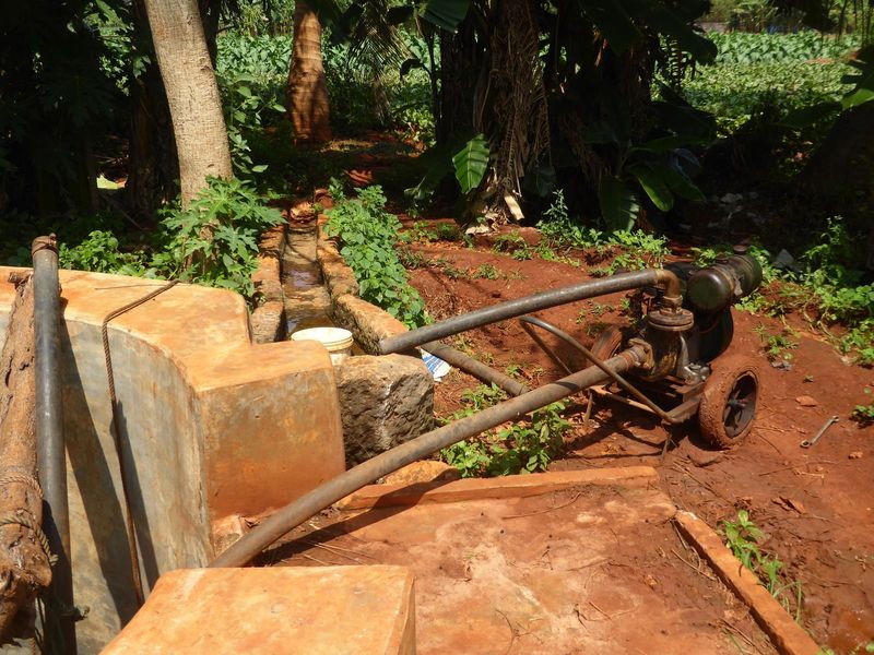 A little diesel pump.