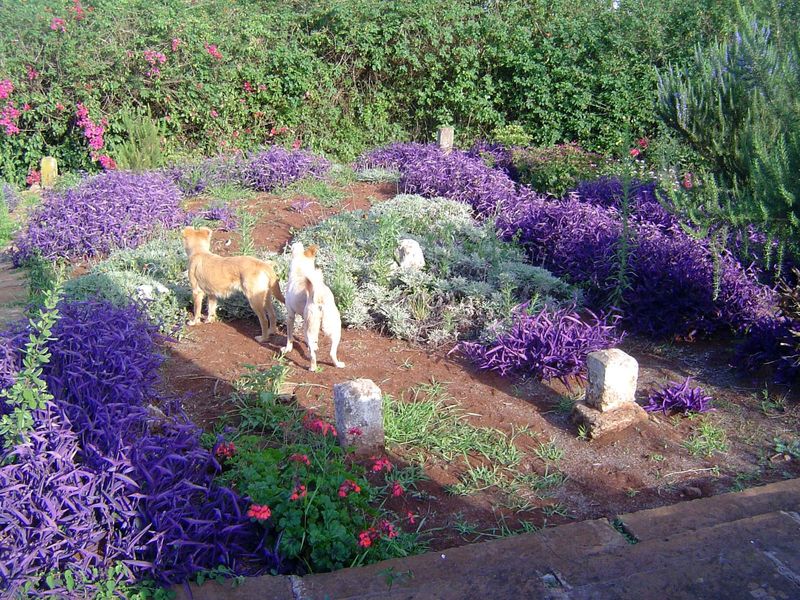 A flower garden is kept up.