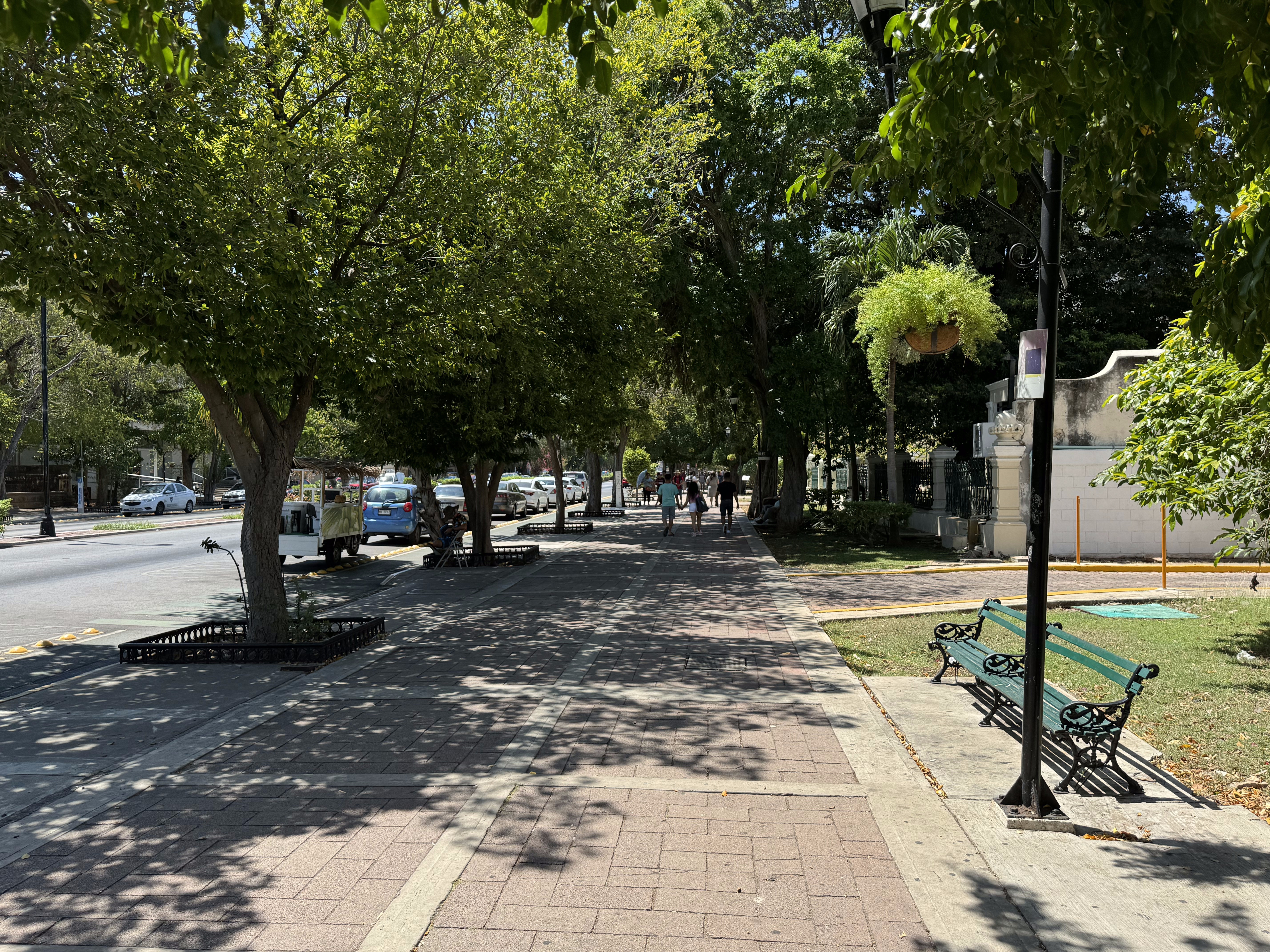 The paseo is pleasanter in the evening than in the heat of the day.  The daily maximum varies from 85 in January to 97 in May.  Sweltering a