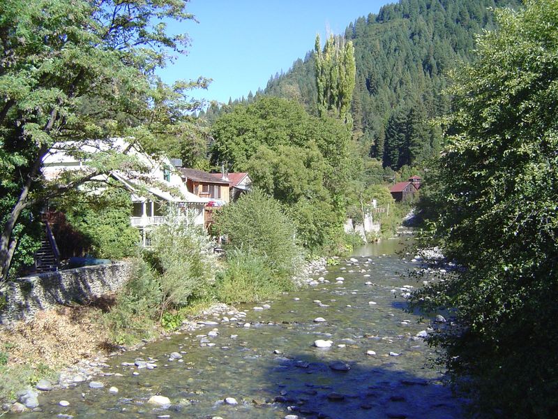 The view upstream from that bridge: this is the ambitiously named Downie River. A few hundred yards behind the camera, it joins the North Yu