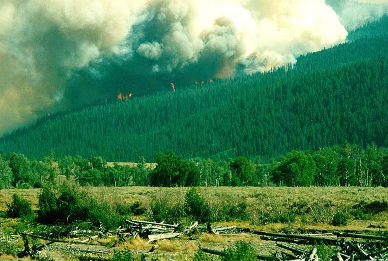 The north side of Yellowstone, coming in from Gardiner during the great fire of 1989.