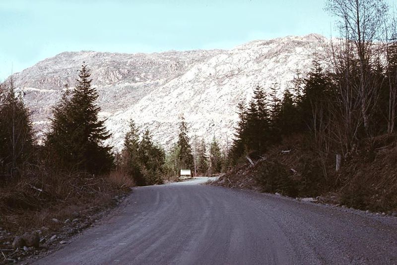 Does the land recover? This picture was taken south of Cowichan Lake about 1970. The photographer thought the land was done for, but by 2000