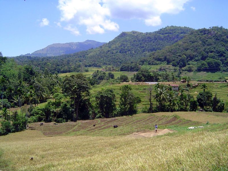 Finally, a glimpse of the valley, with a couple of threshing floors in view.
