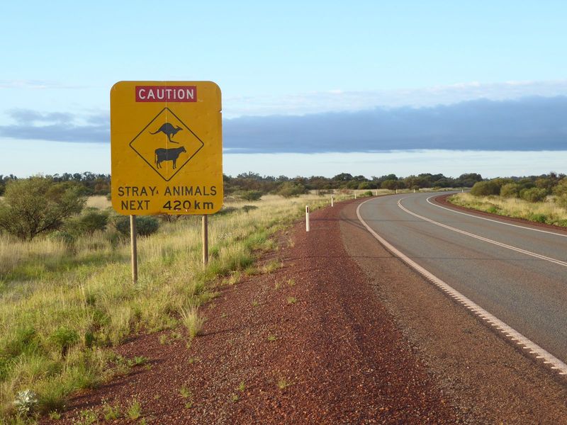 After Newman it continues north to to Port Hedland, then bears easterly to Wyndham. Two thousand miles end to end: keep your eyes open.