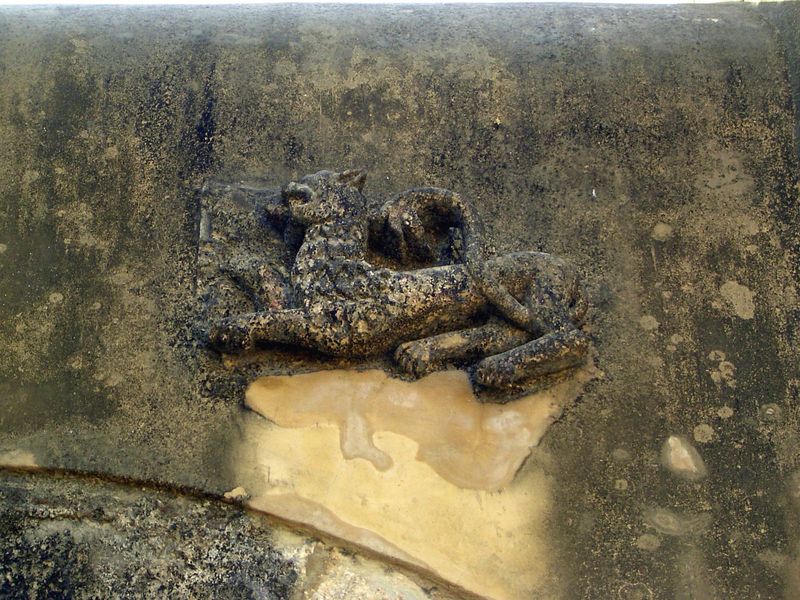 Lion?