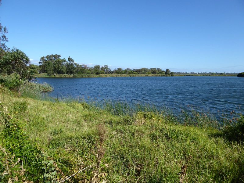 Here's a more interesting bit of water. It's Herdsman Lake. We're three miles east of the ocean and all of four miles northwest of downtown 
