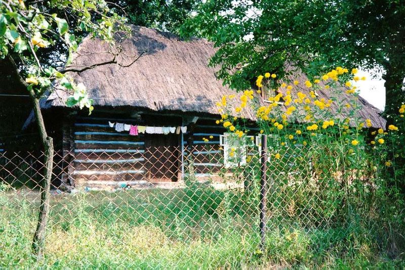 Southern Poland, east of Cracow, is full of log cabins befitting such fields. The fence is a pity.
