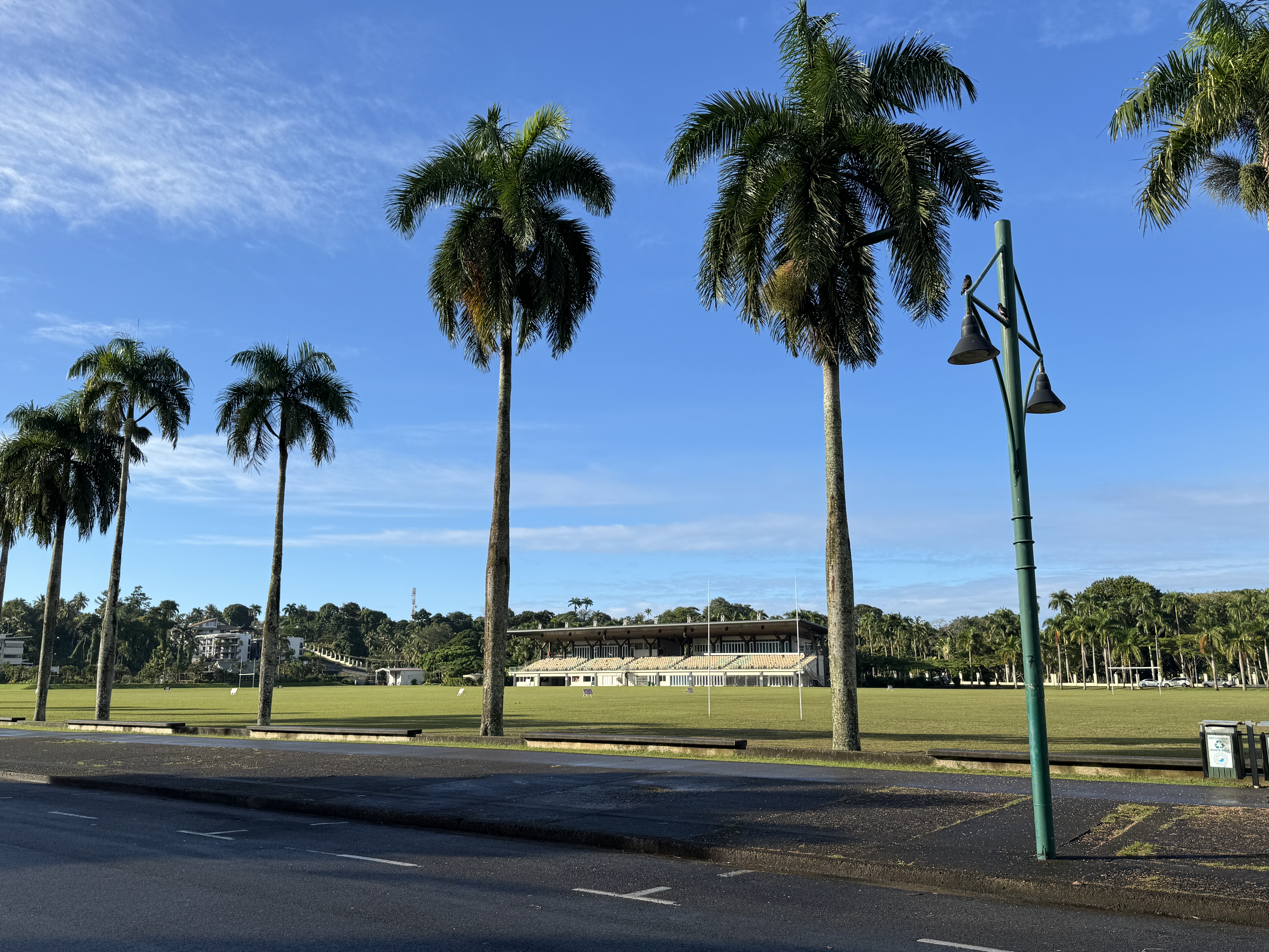 Here are those rugby fields.  A little bleak, but look at the forest beyond.