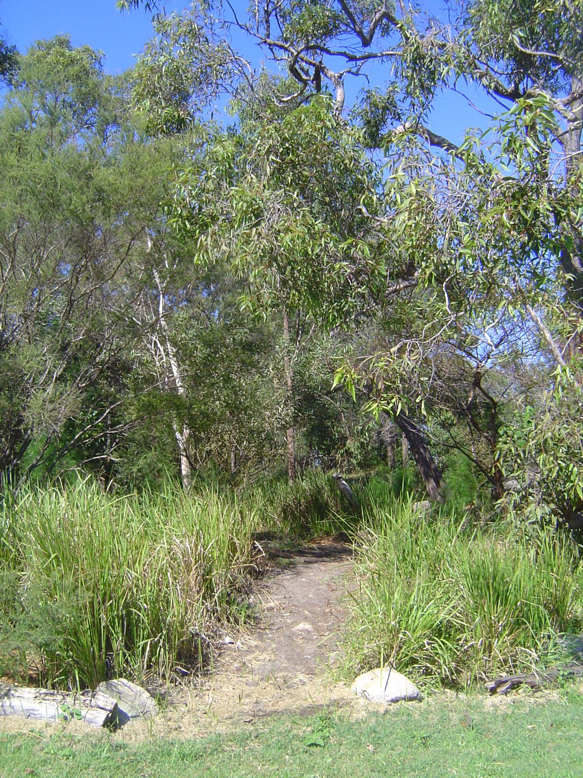 There are a very few interior reserves: here's one, the Linden Way Reserve.