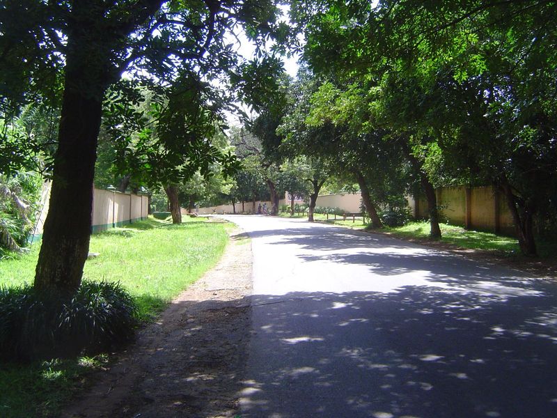 This is Chisidza originally Councillors' Crescent. This short street, near Haile Selassie Avenue, was planned for high officials and still r