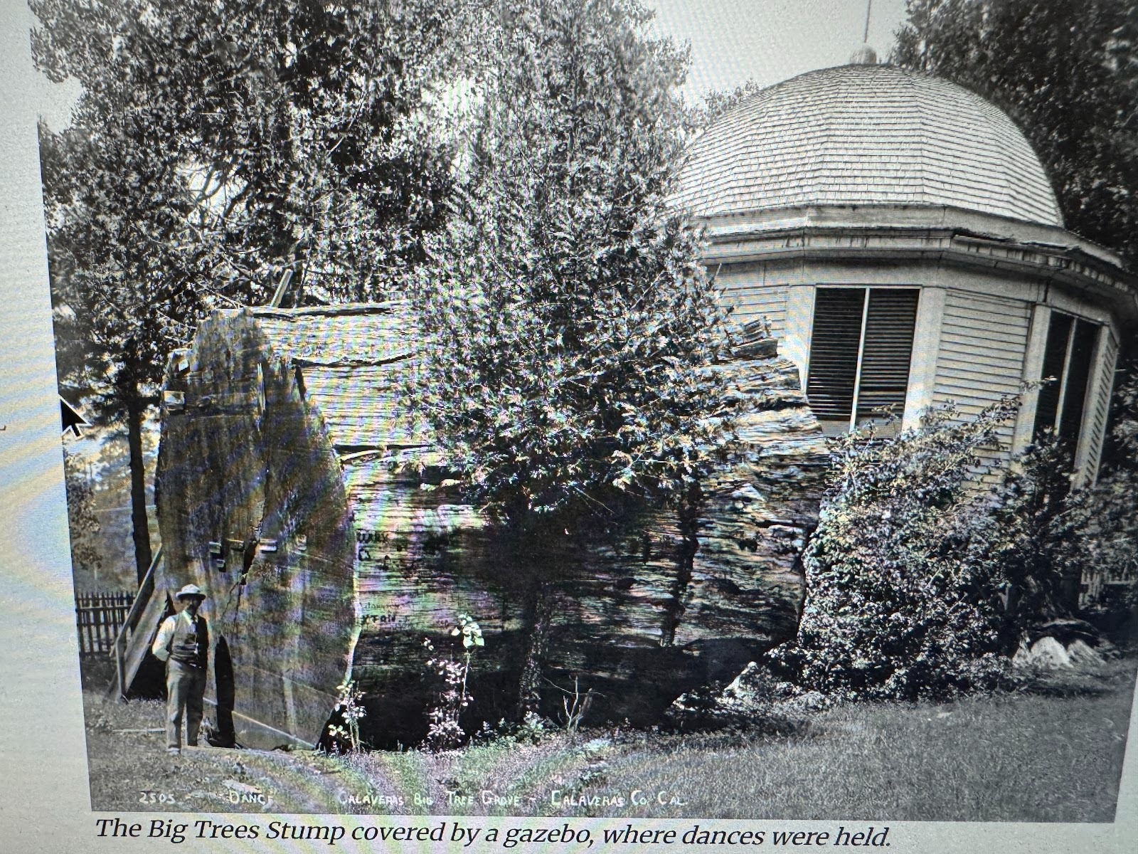 For a while a kiosk or gazebo sheltered the dancers.

Frances E. Bishop and Judith Cunningham Marvin, "Big Trees, Early Years," 1988, publis