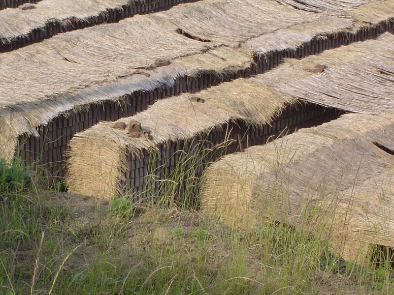 Bricks drying.