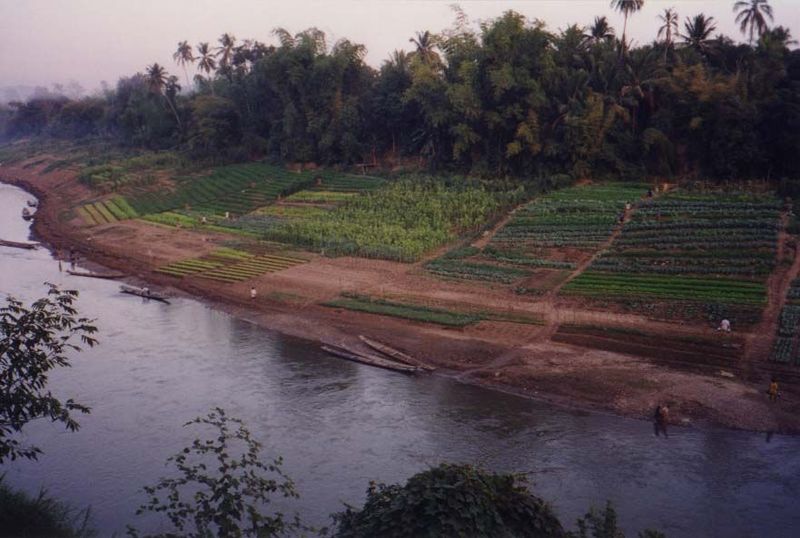 The tributary Nam Khan also supports intensive gardening along its moist banks.