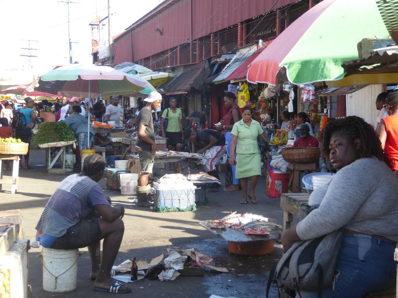 We’ll start at Stabroek and at the water's edge, with fish to prove it.