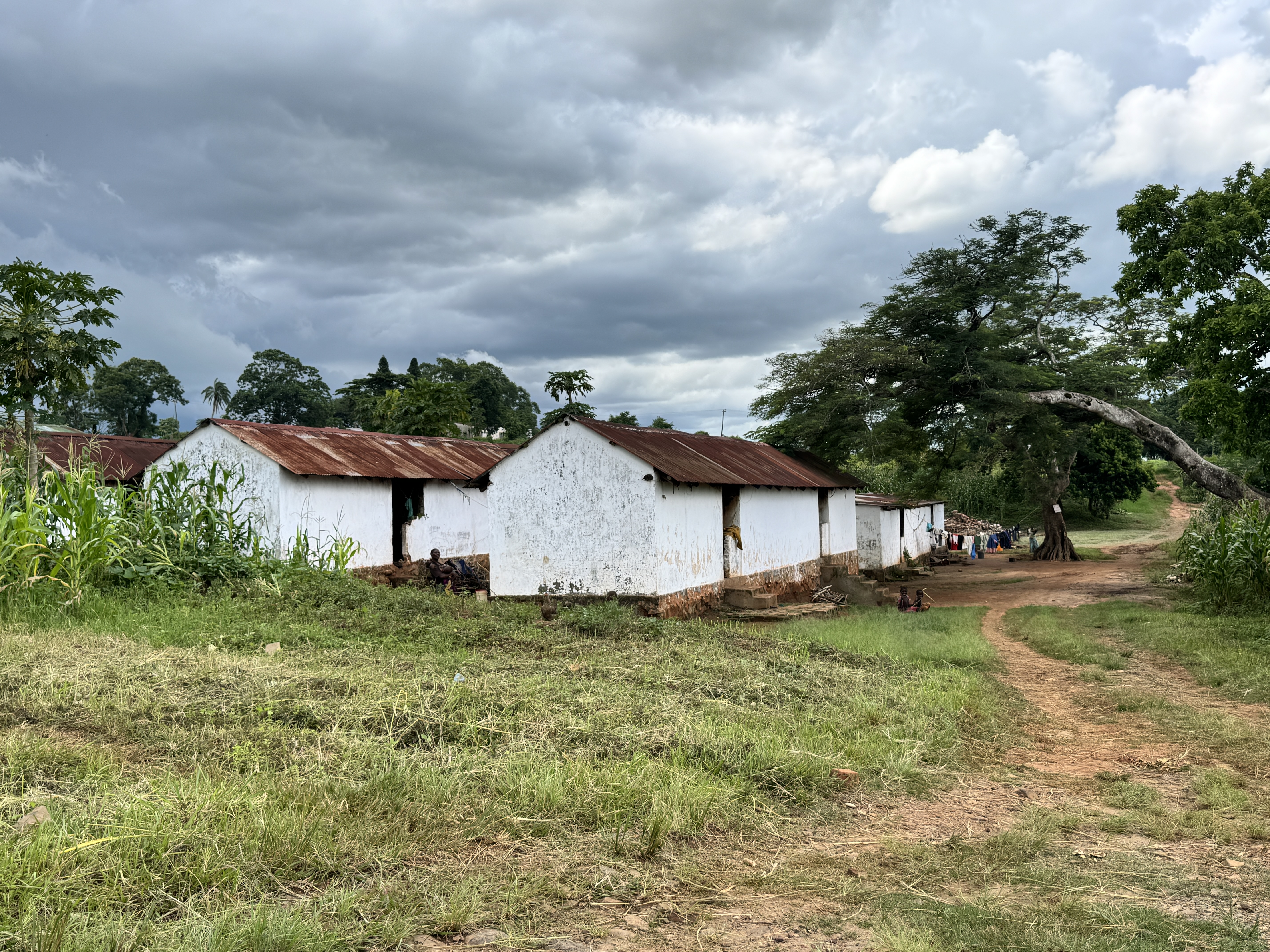 Workers' housing on a tea plantation east of Thyolo.