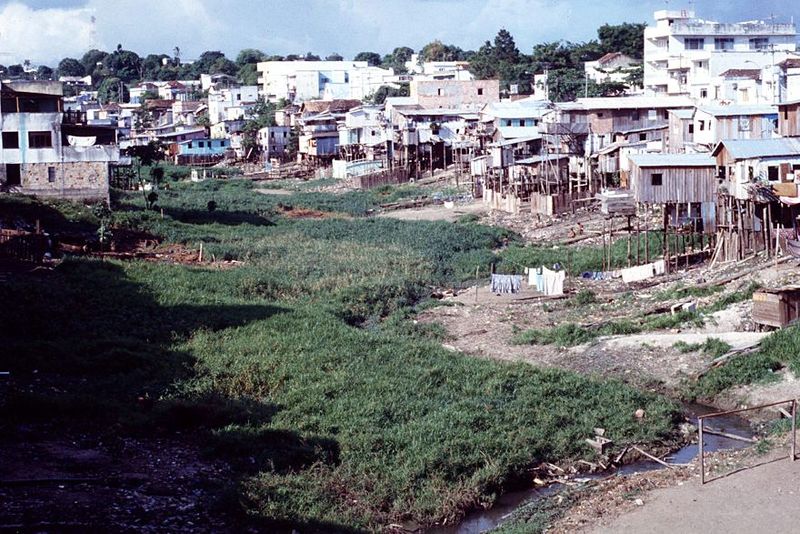 A branch of the Igarapé dos Educandos, one of several streams that enter the Negro.