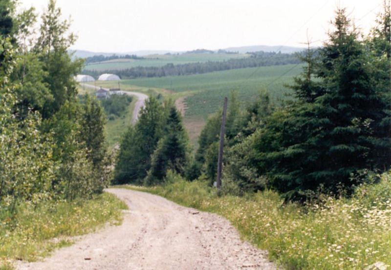 A back road into the Saint John Valley, where potatoes remain the chief crop—the only crop that ever makes money.