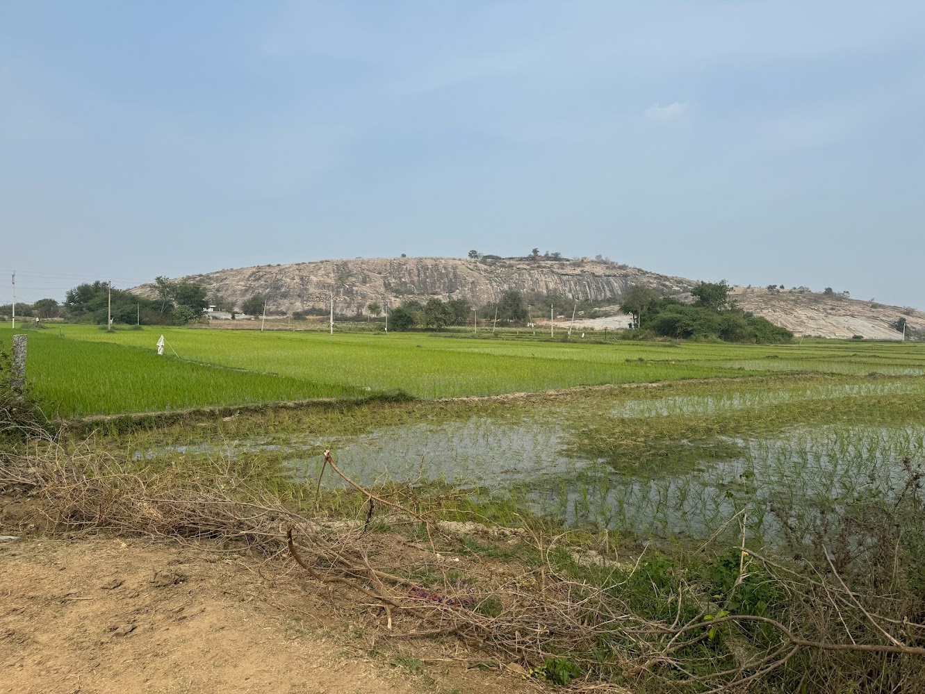 We've move to Panigiri or Phanigiri, once a monastery atop a granite dome Surrounded by rice paddies.