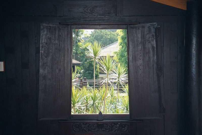 Peeking out a window.