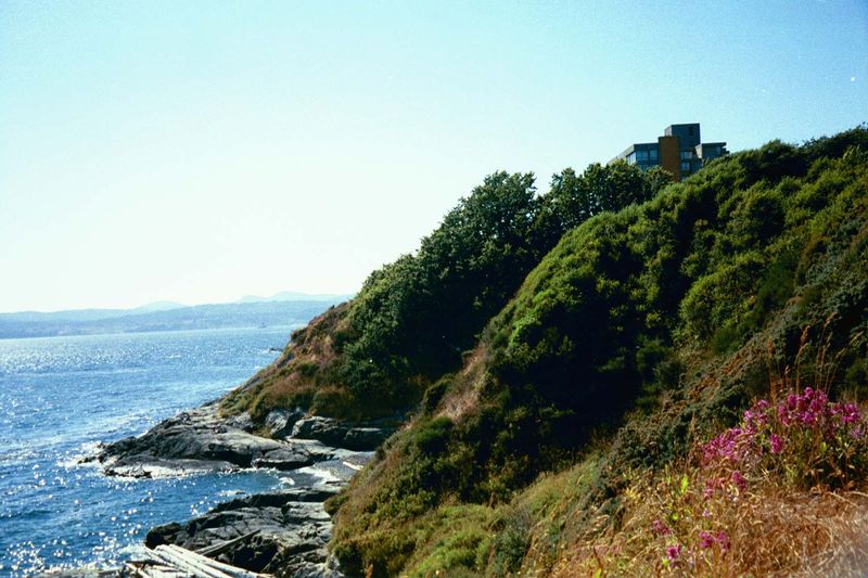 A brighter day along the park's edge.