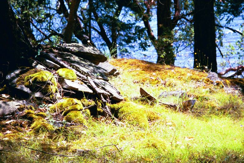 Up top: a softened exposure.
