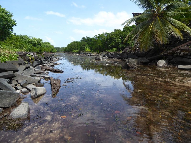 Remind you of Angkor? Here's Kahn A Reporter in Micronesia, p. 151, who came before the path was built: "Nan Madol would probably be a great