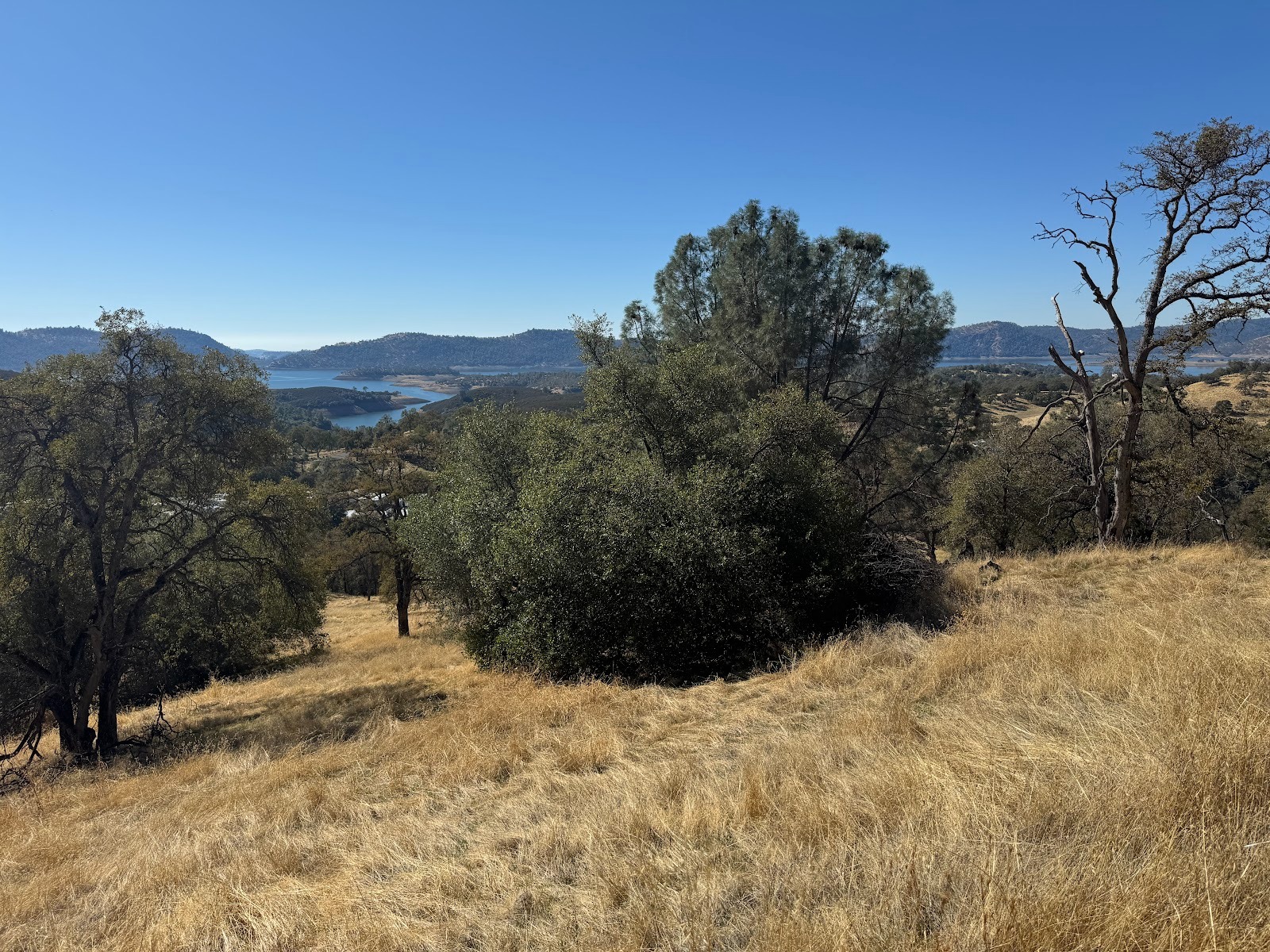 What's this?  We're at the third place.  It's Jackass Hill, a bit north of Sonora and overlooking New Melones Lake on the Stanislaus River. 
