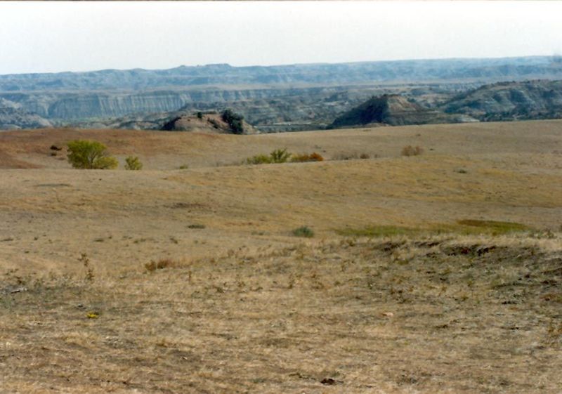 Sometimes, it's rough pasture that gives way to the even rougher badlands.