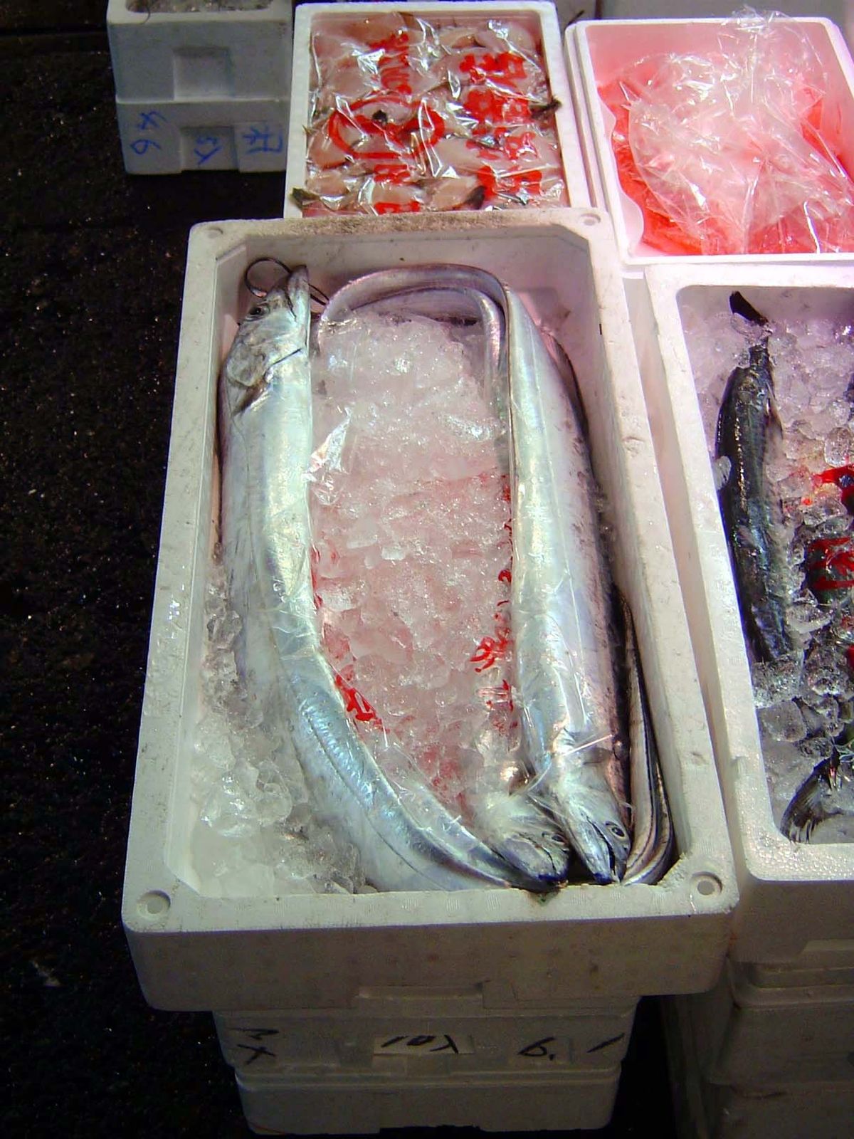Cutlass fish.