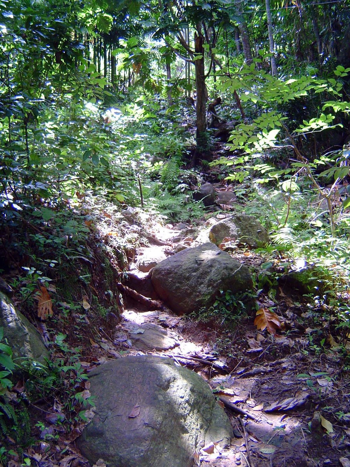 Paths parallel it, however.