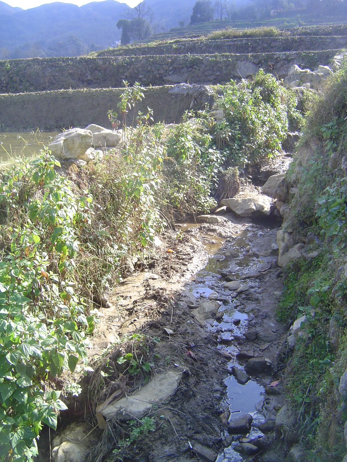 The main channel now looks almost empty. The villagers working down here mostly wear rubber boots.