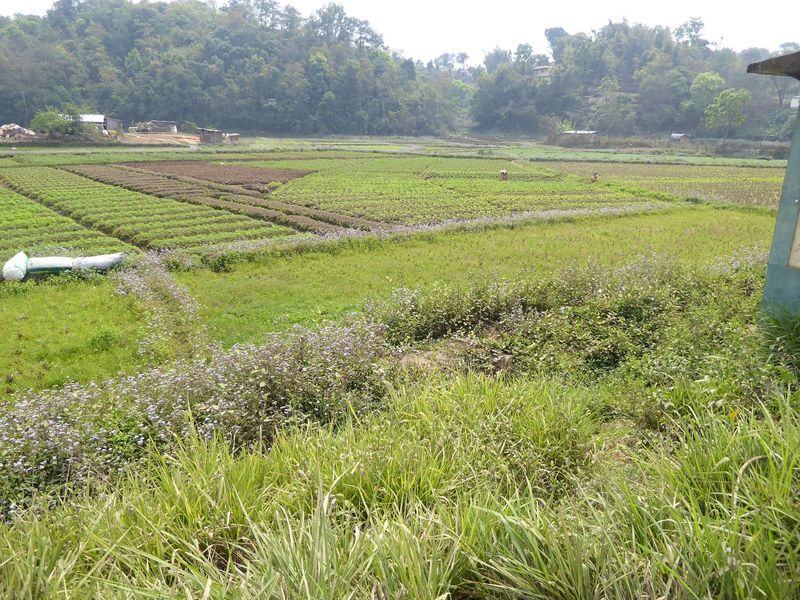 Perhaps the villagers were right to decline the offer. Cropland here is scarce.